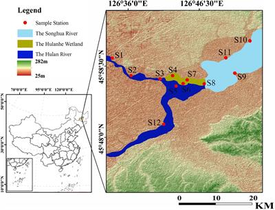 Temperate urban wetland plankton community stability driven by environmental variables, biodiversity, and resource use efficiency: A case of Hulanhe Wetland